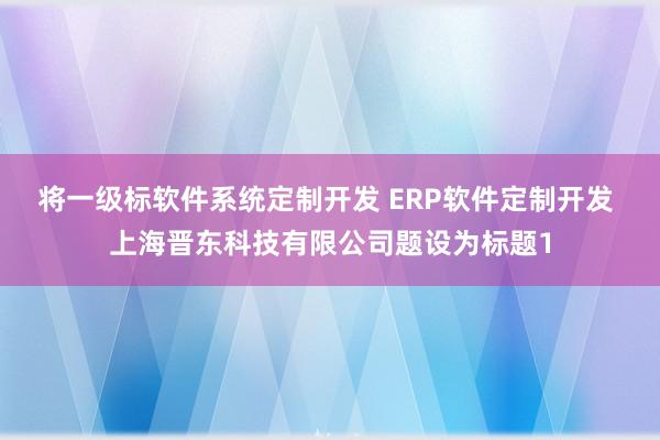 将一级标软件系统定制开发 ERP软件定制开发 上海晋东科技有限公司题设为标题1