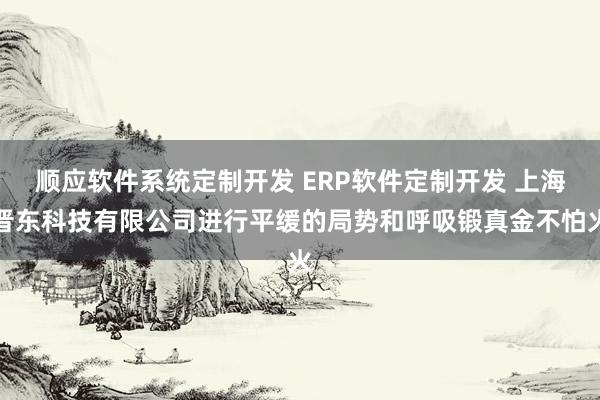顺应软件系统定制开发 ERP软件定制开发 上海晋东科技有限公司进行平缓的局势和呼吸锻真金不怕火