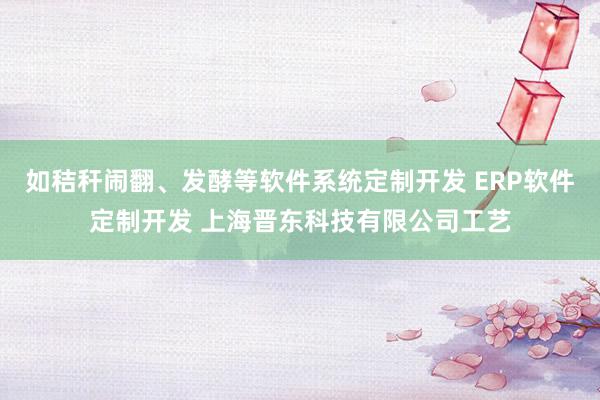 如秸秆闹翻、发酵等软件系统定制开发 ERP软件定制开发 上海晋东科技有限公司工艺