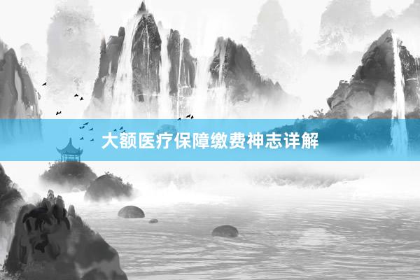 大额医疗保障缴费神志详解