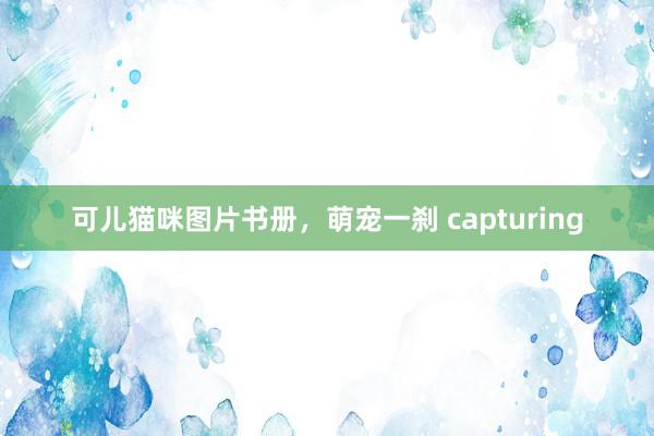 可儿猫咪图片书册，萌宠一刹 capturing